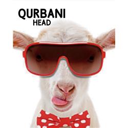Lambs Head