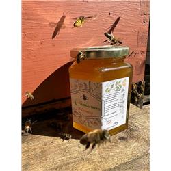 Raw Unpasteurised Multi Floral Honey (340g)