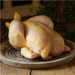Free Range Chicken