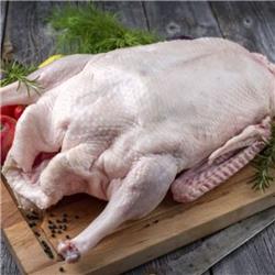 Free-Range Halal Goose - Small