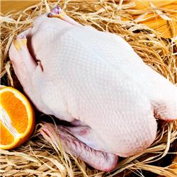 Organic Halal Goose - Medium