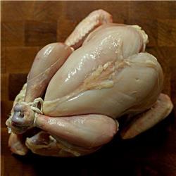 Abraham's Tayib Whole Chicken - Skinless (1.6kg)